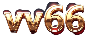 vnvv66.com Logo